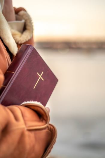 A woman holds the Bible in her hands in nature. Christianity concept.